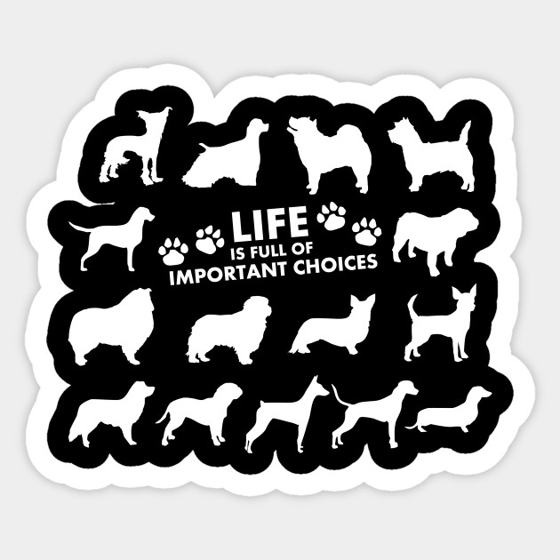 Important Choices Dogs